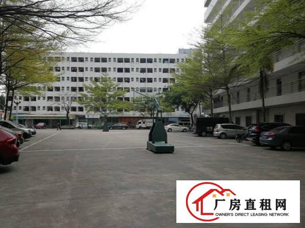 
实拍布吉上水径独院厂房一楼仓库1480平楼上可分租
