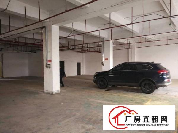 
实拍布吉上水径独院厂房一楼仓库1480平楼上可分租