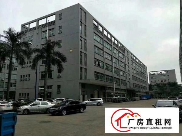 
布吉李朗精装修厂房1280平出租