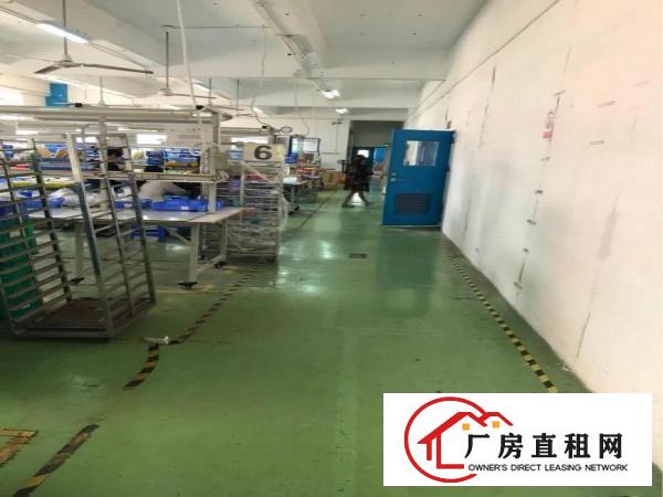 
丹竹头带装修1500平出租