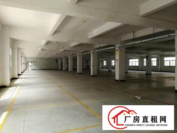
南岭龙山工业区26000平米工业园出租