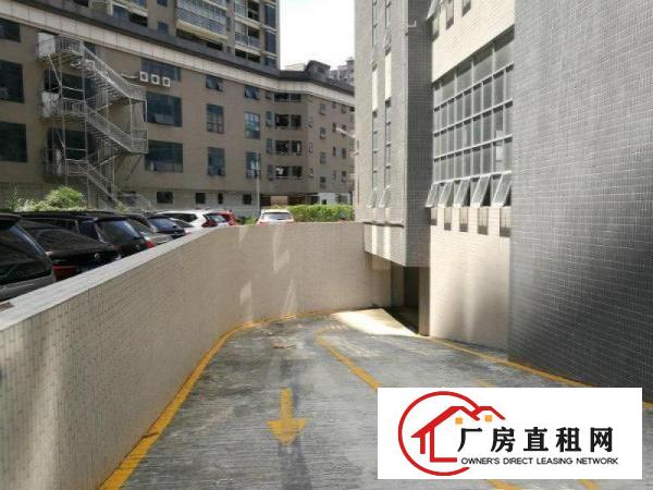 
布吉花园式全新厂房出租每层2158平米形象好