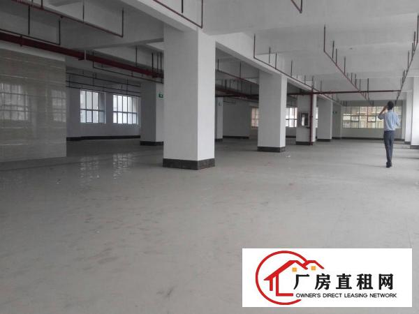 
独院厂房招租，园区空间大，12000平