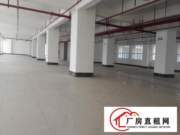 
园区高大形象好，管理规范，环境好