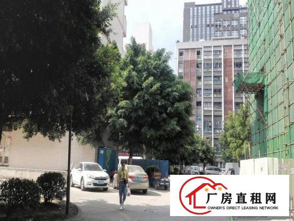 
正规标准厂房，450平米招租