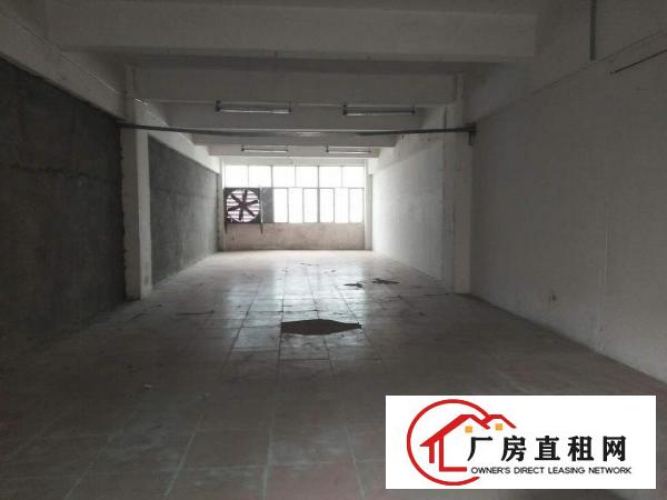 
布吉下水径办公电子小面积厂房招租