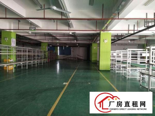 
布吉高新产业园新出装修厂房3400平原房东招租可分