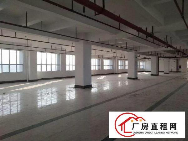 
布吉丹竹头高新科技园新出6800平招租.可分租