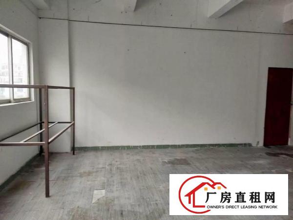 
木棉湾地铁附近电商办公仓库100平米起租