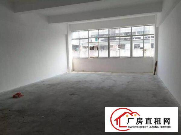 
木棉湾地铁附近电商办公仓库100平米起租