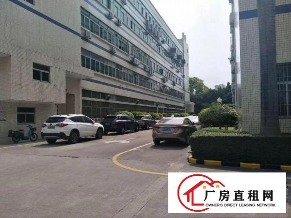 
高新科技园分租300平
