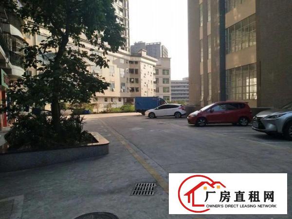
布吉李朗珠宝.电子研发.展厅设产业园单层2180平