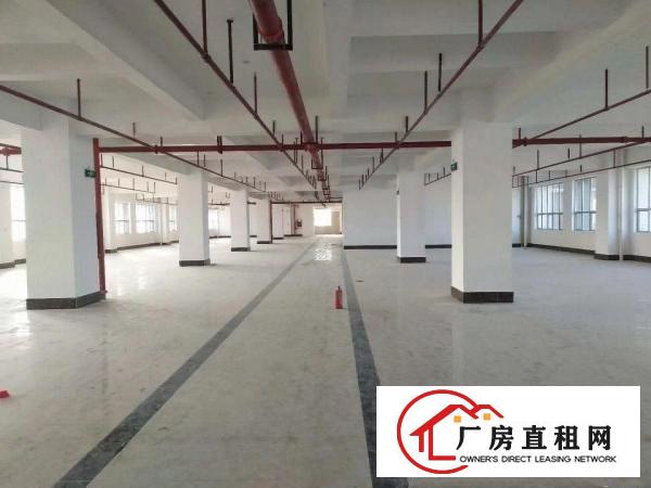 
布吉李朗珠宝.电子研发.展厅设产业园单层2180平