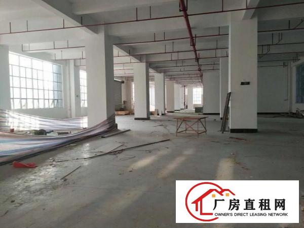 
布吉李朗珠宝.电子研发.展厅设产业园单层2180平