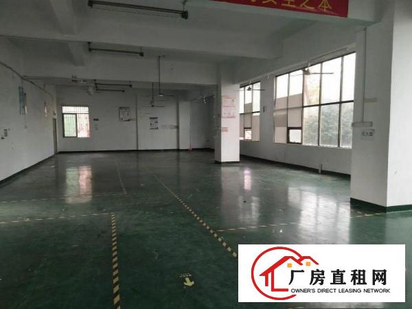 
布吉1150平米厂房带装修招租