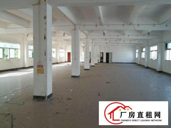 
近布吉独门独院3000平米原房东厂房可分租