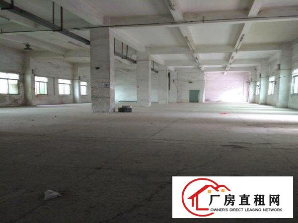 
横岗5000平米原房东独栋厂房近高速路口可分租