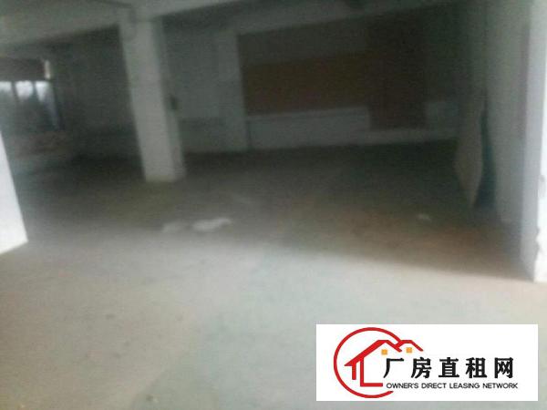 
丹竹头地铁口一楼厂房1300平出租