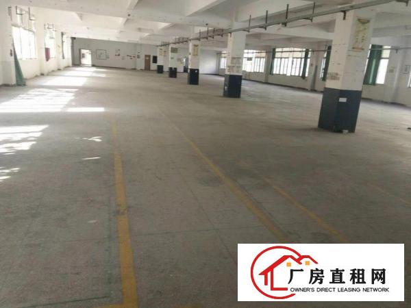 
布吉上李朗科技园区整层面积1300平方厂房出租