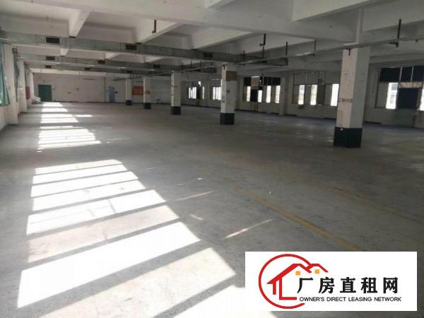 
布吉上李朗科技园区整层面积1300平方厂房出租