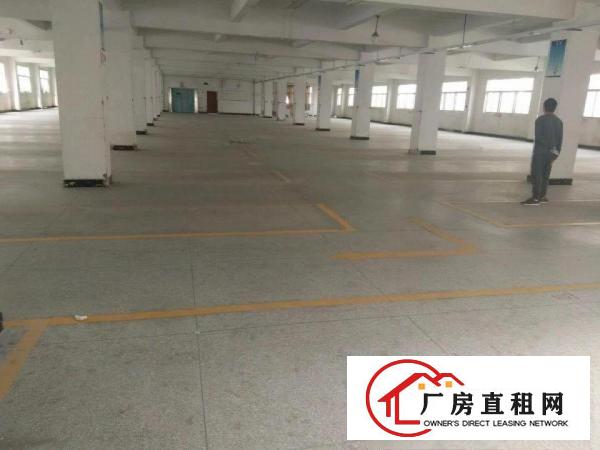 
布吉上李朗科技园区整层面积1300平方厂房出租