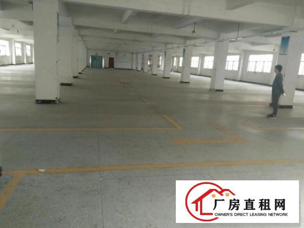 
布吉上李朗科技园区整层面积1300平方厂房出租