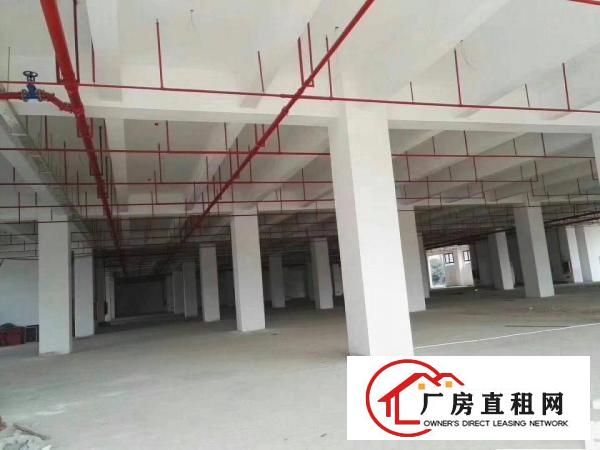 
深圳进出口保税区7栋全新厂房招租面积可以任意分割