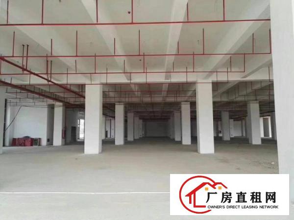
深圳进出口保税区7栋全新厂房招租面积可以任意分割