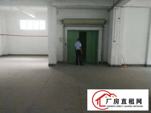 
布吉丹竹头，3850平原房东厂房招租