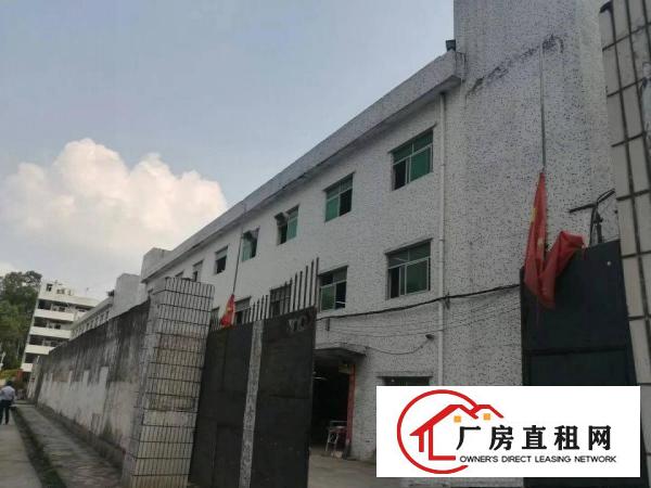 
布吉丹竹头，3850平原房东厂房招租