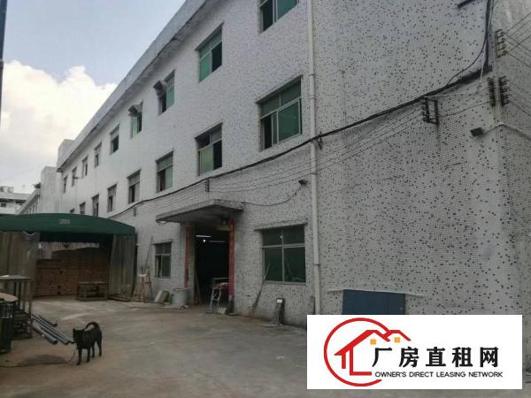 
布吉丹竹头，3850平原房东厂房招租