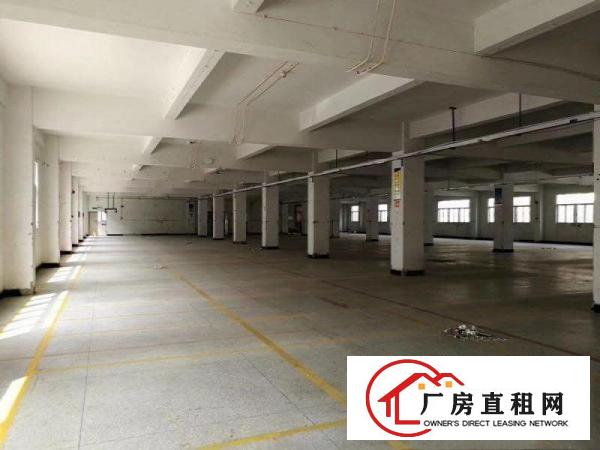 
布吉地铁口附近科技园单层2000平方共5层厂房出租