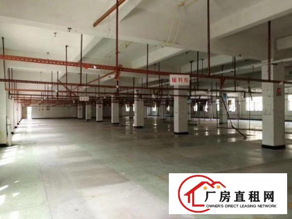 
布吉地铁口附近科技园单层2000平方共5层厂房出租