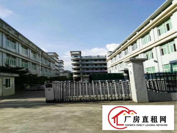 
横岗原房东独院带红本6500平米出租