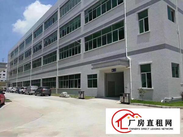 
横岗荷坳地铁站独院精装修1200平米厂房出租