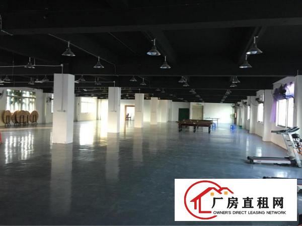 
龙岗横岗荷坳独院二三楼2000平米厂房大小分租