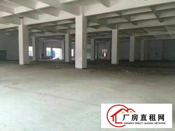 
布吉地铁下水径旁新出独院5700平厂房可分租