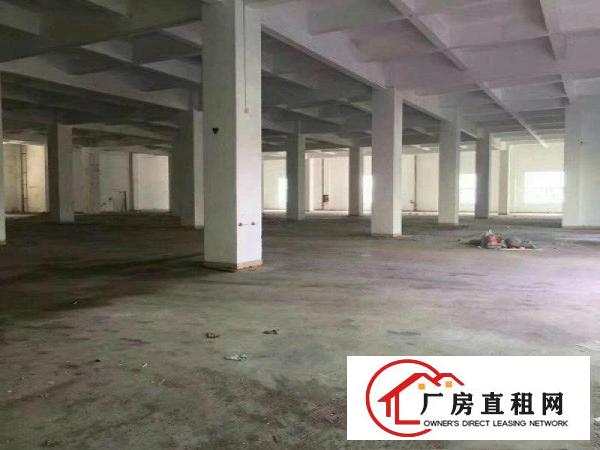 
布吉地铁下水径旁新出独院5700平厂房可分租
