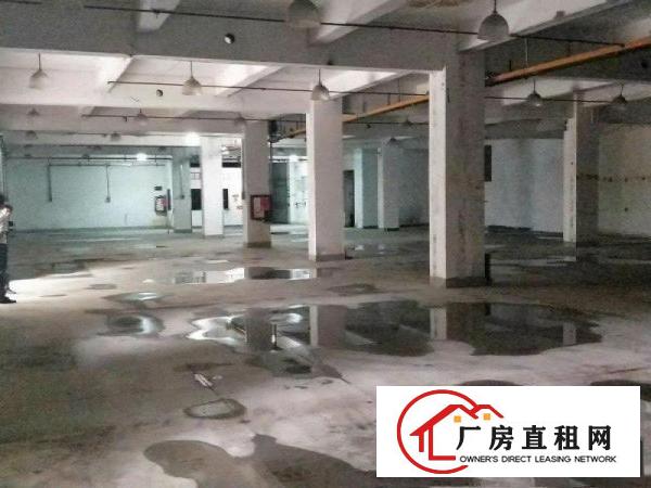 
布吉地铁下水径旁新出独院5700平厂房可分租