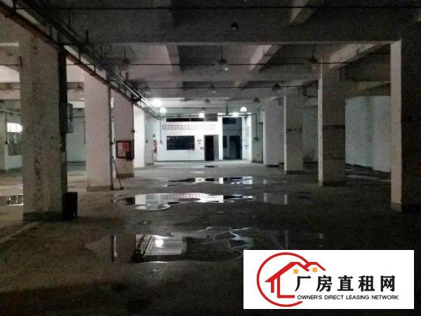 
布吉地铁下水径旁新出独院5700平厂房可分租