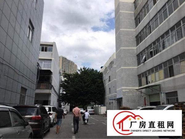 
布吉上李朗新出6000平米厂房出租
