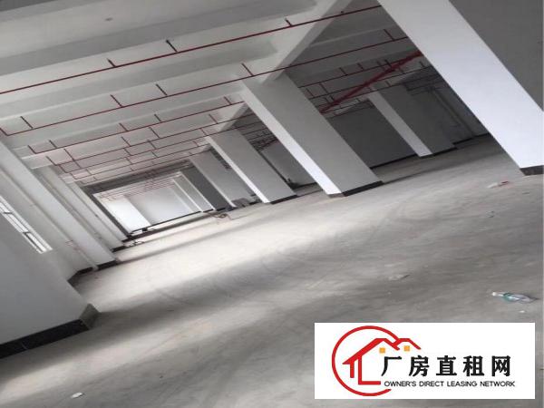 
布吉上李朗全新47000平米厂房出租