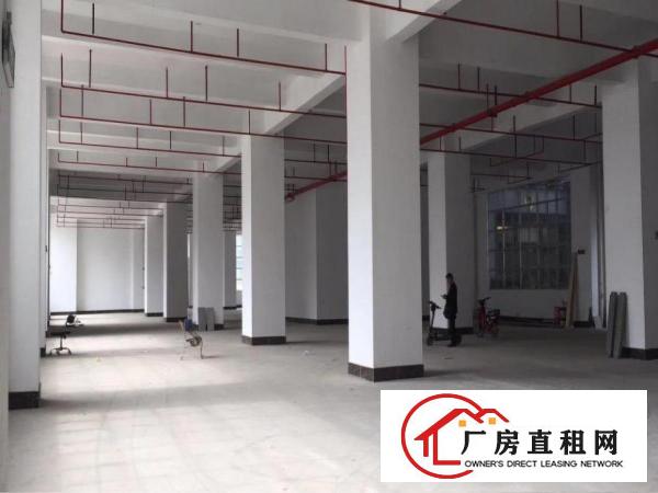 
布吉上李朗全新47000平米厂房出租