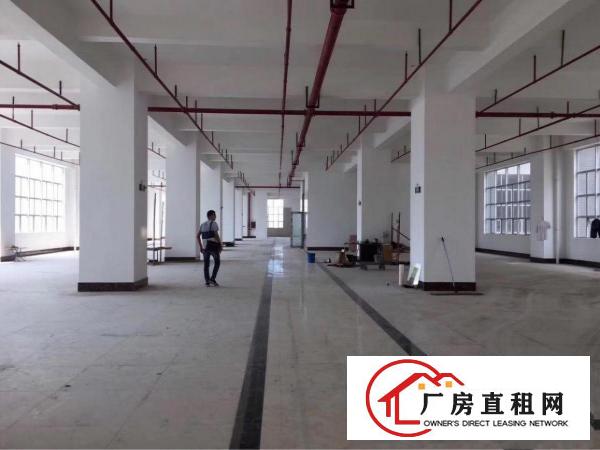 
布吉上李朗全新47000平米厂房出租