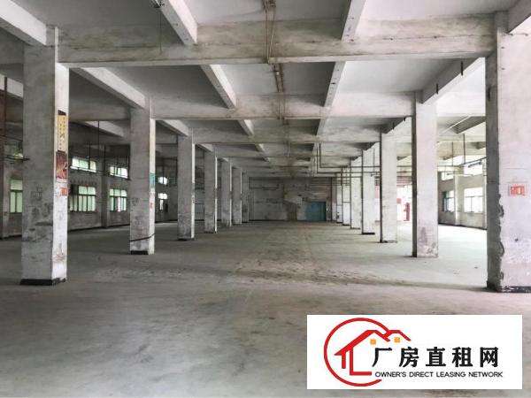
布吉南岭新出独门独院20000平米厂房出租