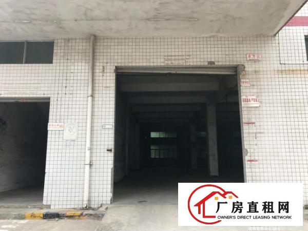 
布吉南岭新出独门独院20000平米厂房出租