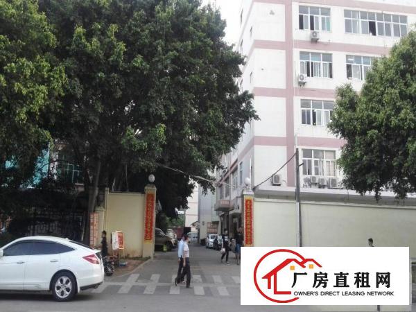 
正规标准花园式厂房，550平米招租