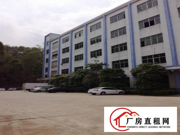 
龙岗原房东厂房仓库办公室宿舍招租
