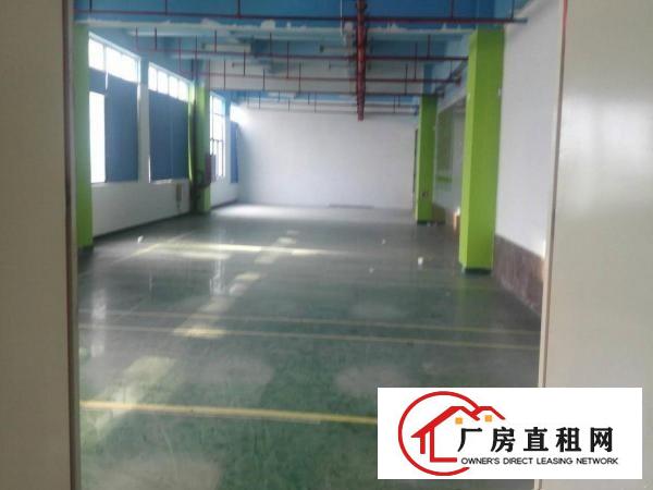 
丹竹头标准厂房仓库出租