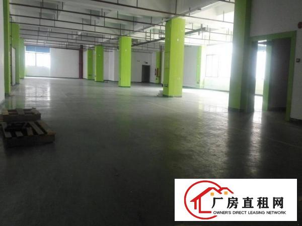 
丹竹头标准厂房仓库出租